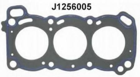   J1256005