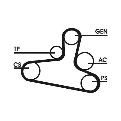   6DPK1215D1 ContiTech