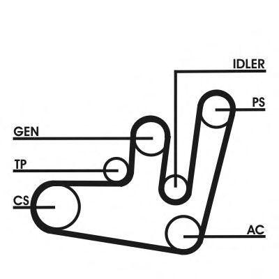 KEILRIPPENRIEMENSATZ 6PK1660D2