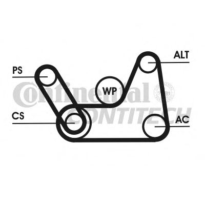   + FORD/MAZDA 1.25/1.4/1.6 01- 6PK1019ELASTT1