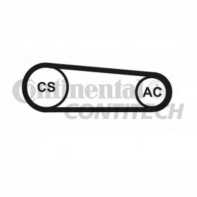  .  CONTITECH 4pk917elastt1