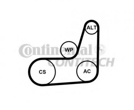  / 6PK1019+ Tool16 6PK1019ELASTT2 ContiTech