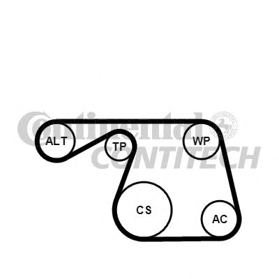    6PK1310K1 ContiTech