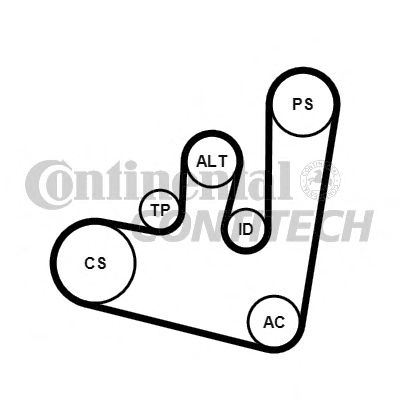   6PK1660  6PK1660K1 ContiTech