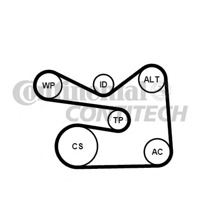    CONTITECH 6PK1733K3