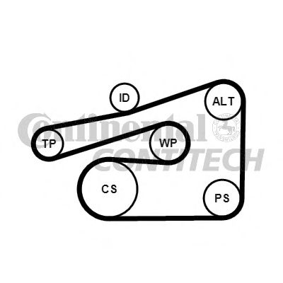  6PK1733K4 ContiTech