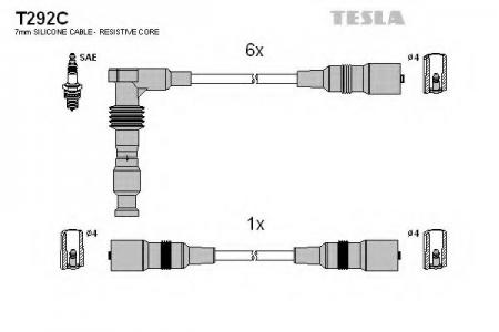 T292C  / - T292C