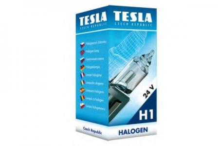  H1, 24 V, 70 W, P 14,5 S B10102