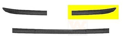 MOULDING RR BUMPER R; FORD FOCUS 1861554