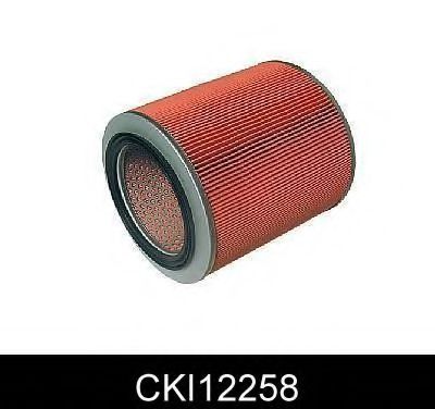   CKI12258
