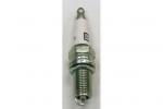 SPARK PLUG POWERSPORT 8810 8810-1/B01