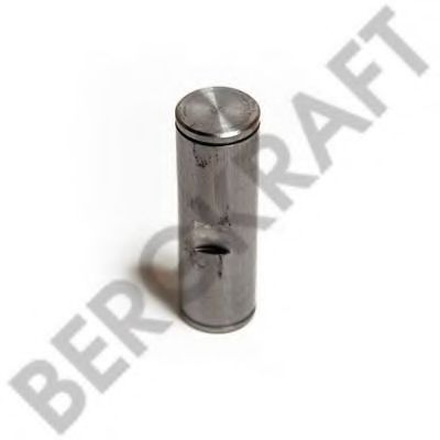  D=31.9MM/L=100.5MM    DAF 95XF,CF65,CF75/IV,CF85/II/IV, XF95/105,BUS BK7400242