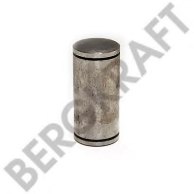  D=31.7MM/L=67MM   ROR/MERITOR BK7900204