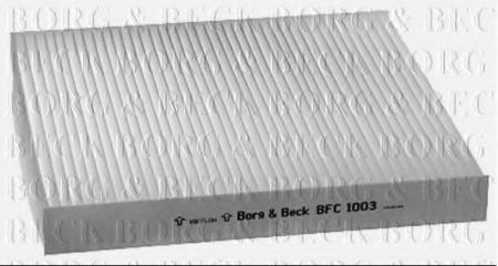   BFC1003 BORG & BECK