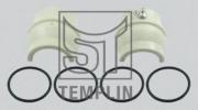 030202028100 TEMPLIN