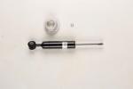 19-172903            BILSTEIN